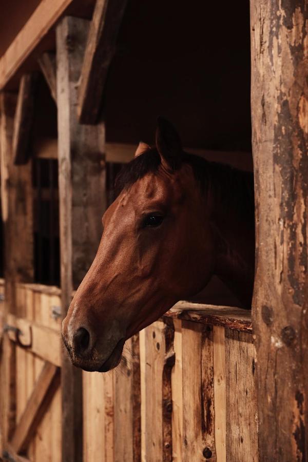 J A Ranch Bed & Breakfast Stromsnasbruk Zewnętrze zdjęcie