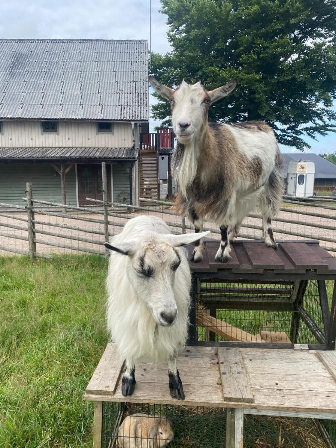 J A Ranch Bed & Breakfast Stromsnasbruk Zewnętrze zdjęcie